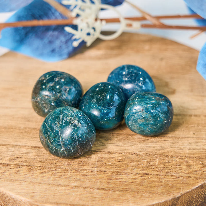 Pierre roulée de guérison en apatite bleue naturelle polie Olivenorma