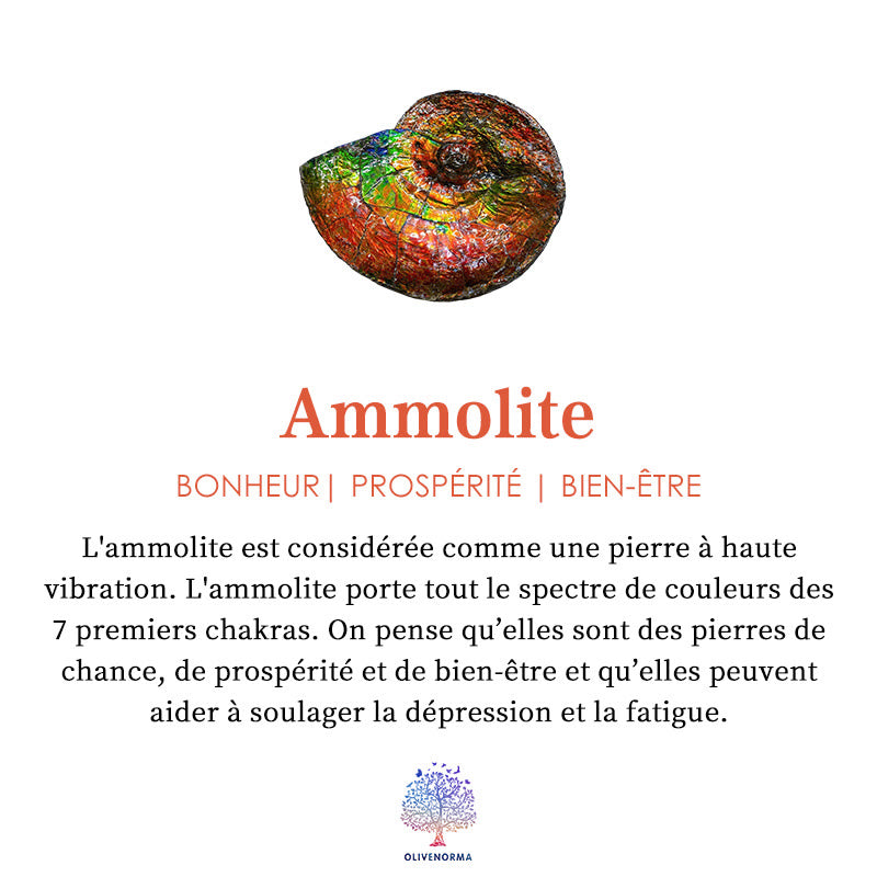 Collier en argent 925 avec ammolite naturelle Olivenorma 
