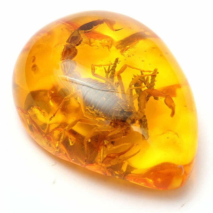 Pendentif en ambre de la Baltique avec inclusion de scorpions et de pierre d'insecte