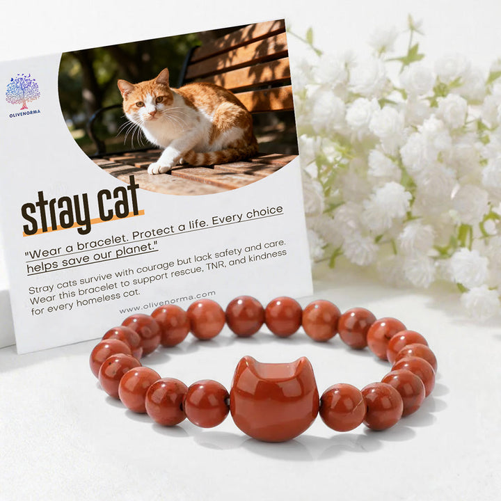 Bracelet de protection pour chats errants Olivenorma avec carte - image 0