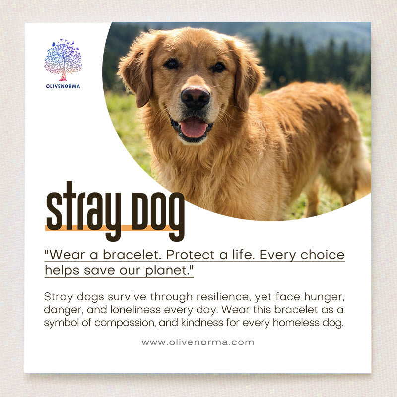 Bracelet de protection pour pattes de chien errant Olivenorma avec carte - image 1