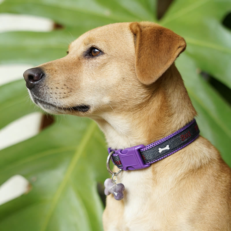 Collier charmant pour chien Olivenorma en pierre naturelle en forme d'os - image 0