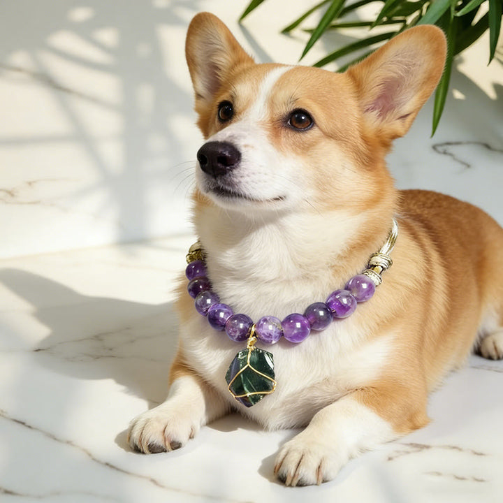Collier pour animaux de compagnie Olivenorma en cristal d'améthyste et d'obsidienne pour méditation apaisante - image 0