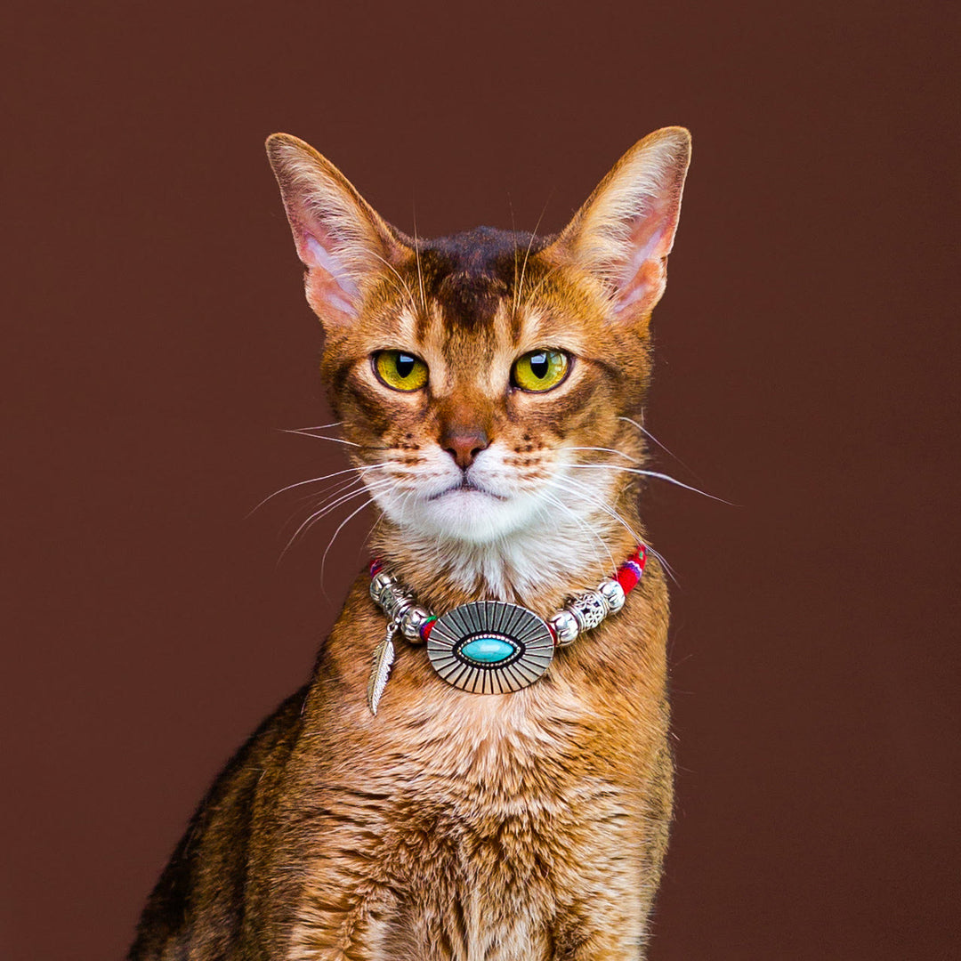 Collier pour chaton Olivenorma en cristal de guérison, style ethnique - Turquoise - L(35 cm) - image 0