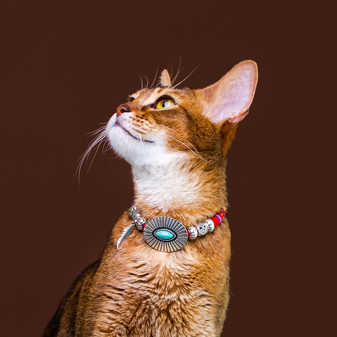 Collier pour chaton Olivenorma en cristal de guérison, style ethnique - image 1