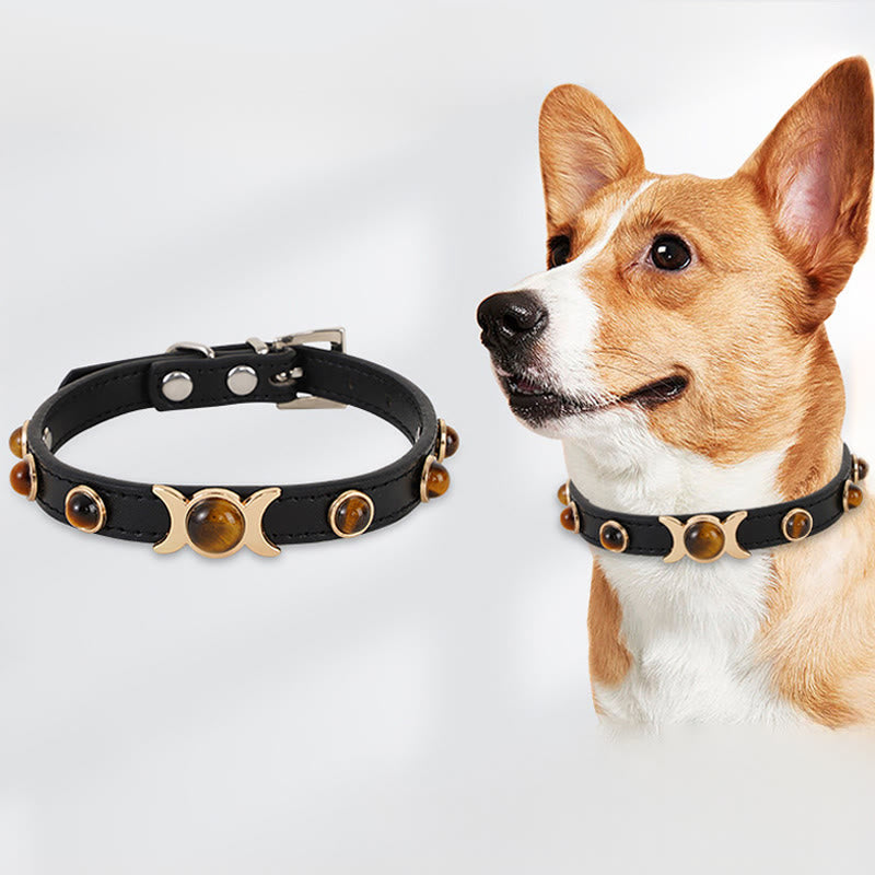 Collier pour chien Olivenorma Premium Tiger Eye, résistant - Œil de tigre - M(35 cm) - image 0
