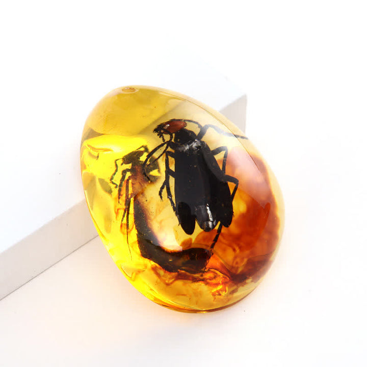 Pendentif spécimen d'insecte en forme de goutte d'eau en ambre Olivenorma 