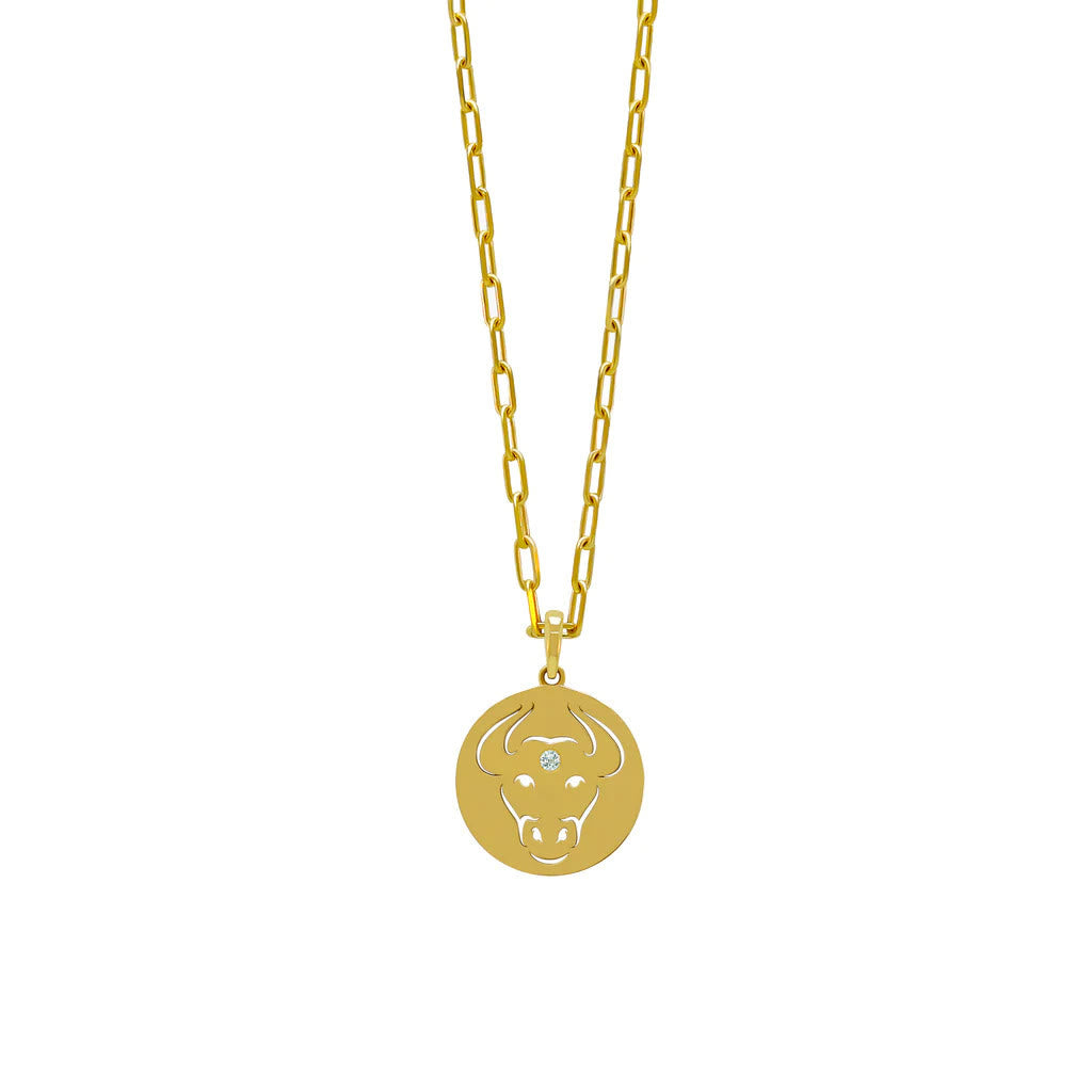 Collier en acier inoxydable avec cercle creux en zircon blanc et signe du zodiaque Olivenorma 