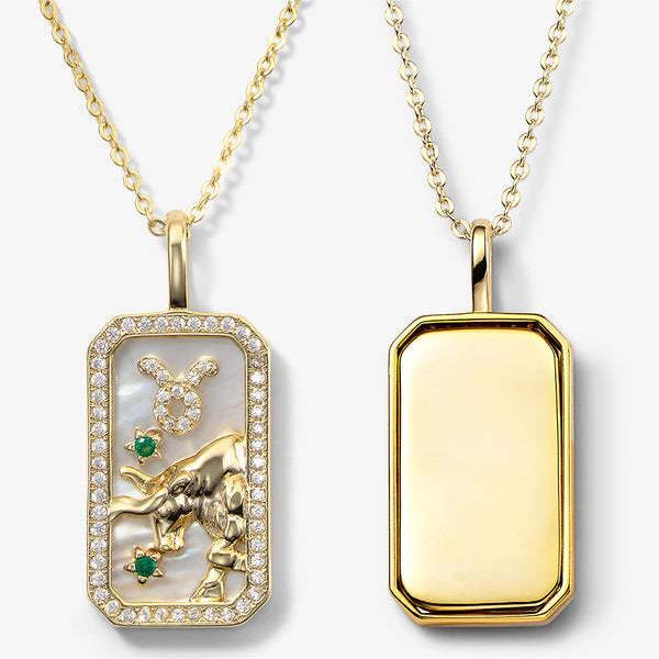 Collier avec plaque signalétique gravée avec 12 signes du zodiaque en zircon blanc Olivenorma 