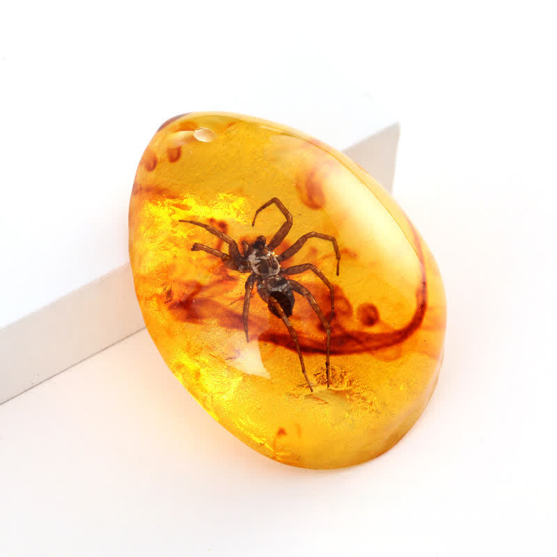 Pendentif spécimen d'insecte en forme de goutte d'eau en ambre Olivenorma 