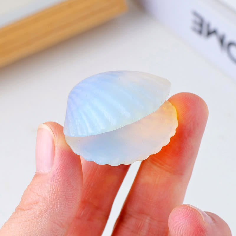 Décoration en pierre précieuse sculptée en coquillages d'agate en cristal naturel Olivenorma