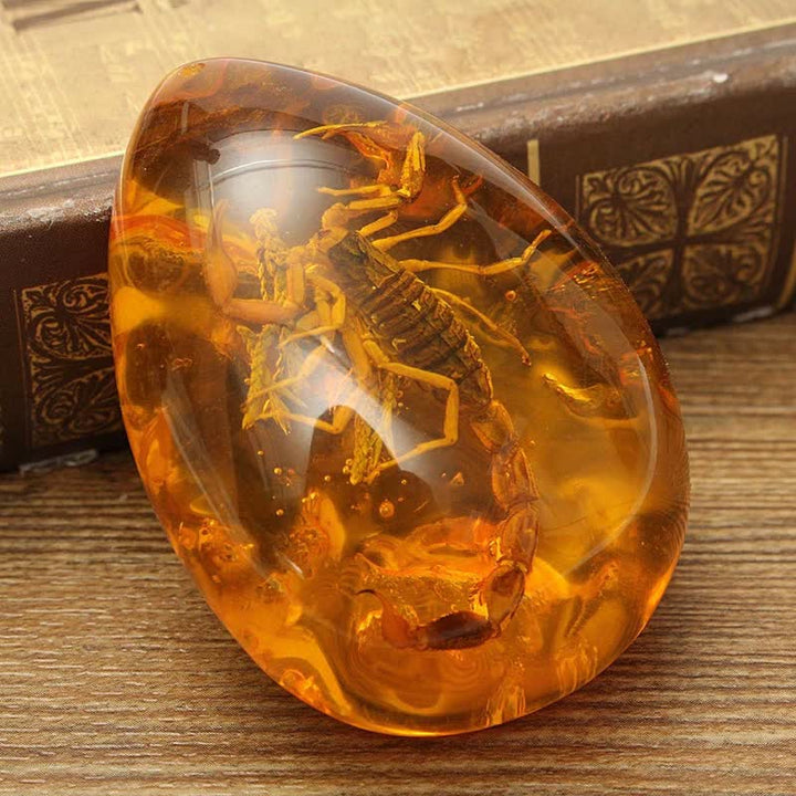 Pendentif en ambre de la Baltique avec inclusion de scorpions et de pierre d'insecte