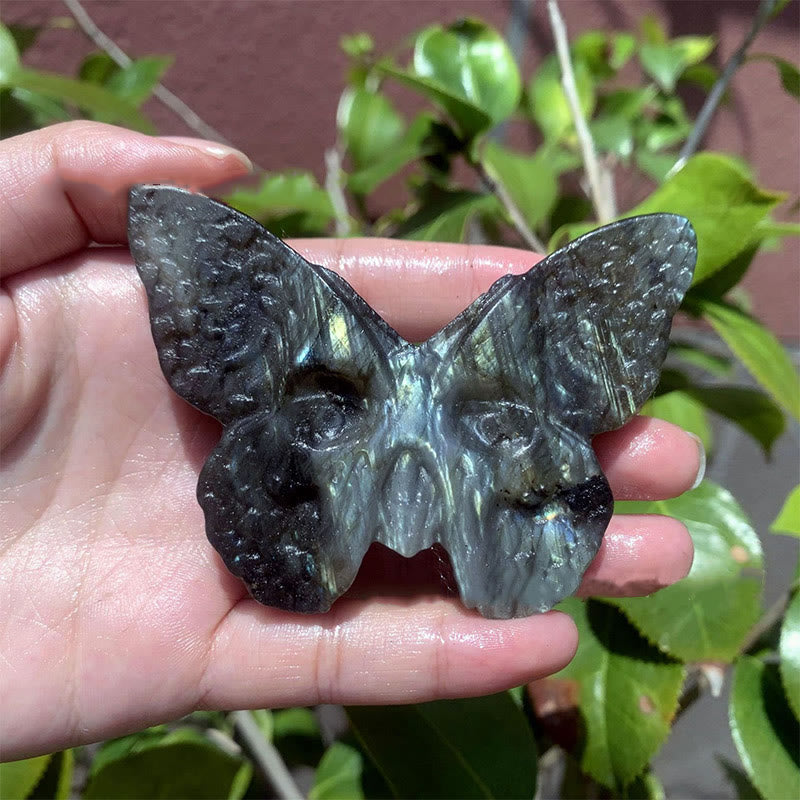 Décoration en pierre précieuse en forme de crâne de papillon en labradorite naturelle Olivenorma