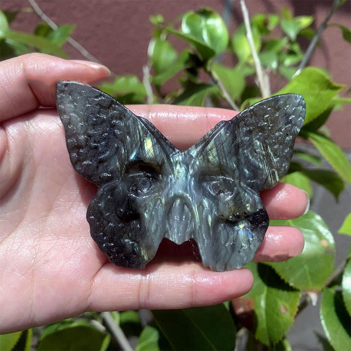 Décoration en pierre précieuse en forme de crâne de papillon en labradorite naturelle Olivenorma