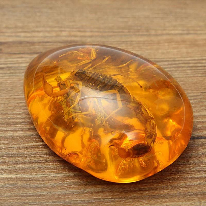 Pendentif en ambre de la Baltique avec inclusion de scorpions et de pierre d'insecte