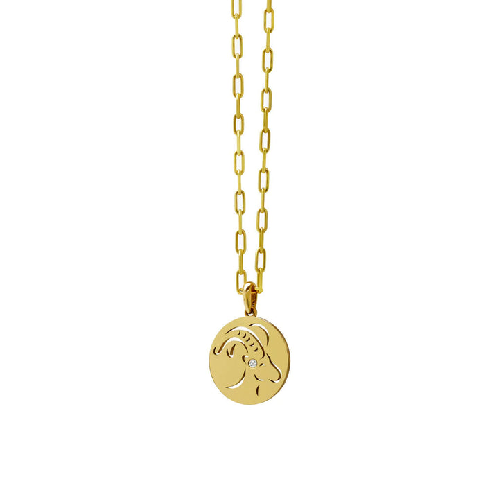 Collier en acier inoxydable avec cercle creux en zircon blanc et signe du zodiaque Olivenorma 