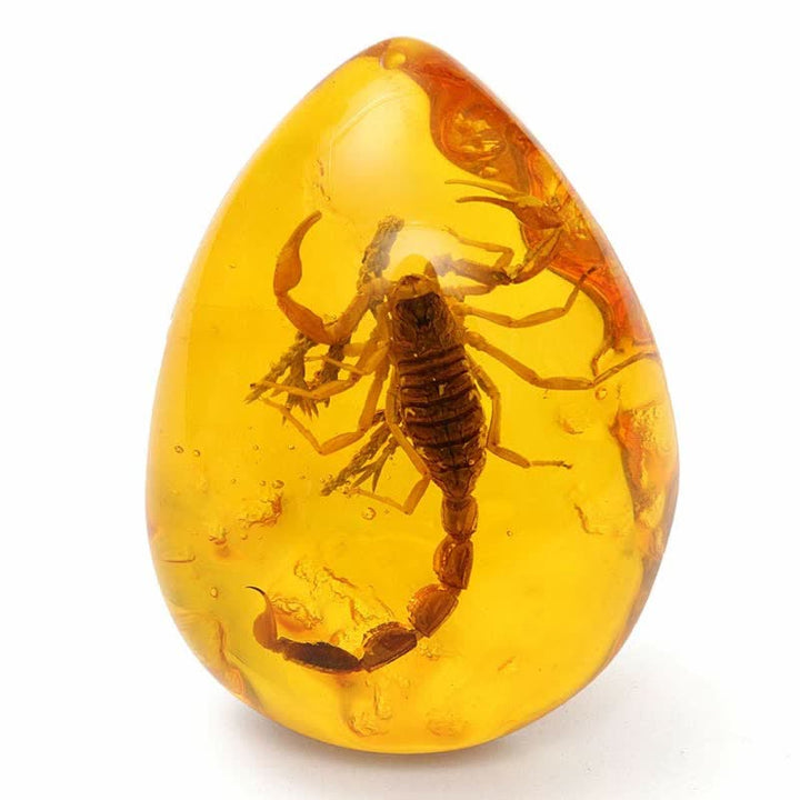 Pendentif en ambre de la Baltique avec inclusion de scorpions et de pierre d'insecte