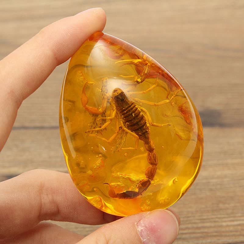 Pendentif en ambre de la Baltique avec inclusion de scorpions et de pierre d'insecte
