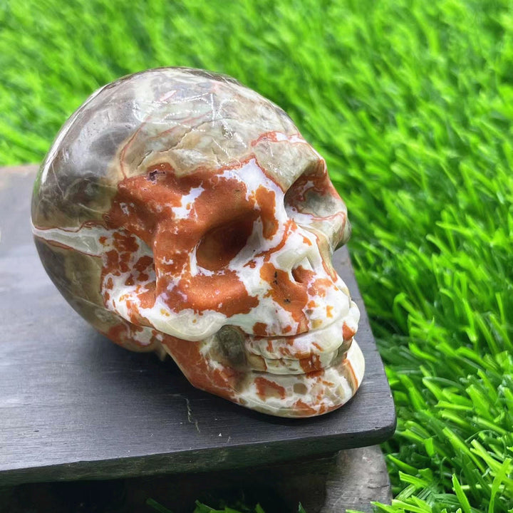 Décoration en pierre précieuse de crâne en cristal naturel sculpté Olivenorma de 5 cm 