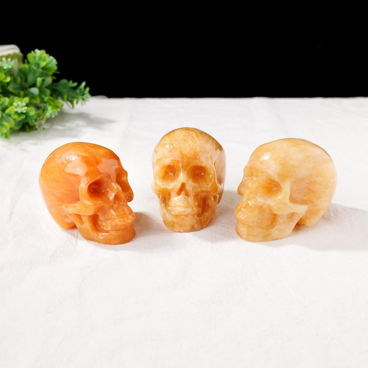 Décoration en pierre précieuse de tête de mort en aventurine jaune Olivenorma de 3 pouces
