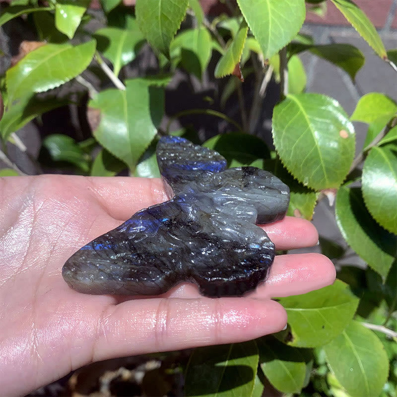 Décoration en pierre précieuse en forme de crâne de papillon en labradorite naturelle Olivenorma
