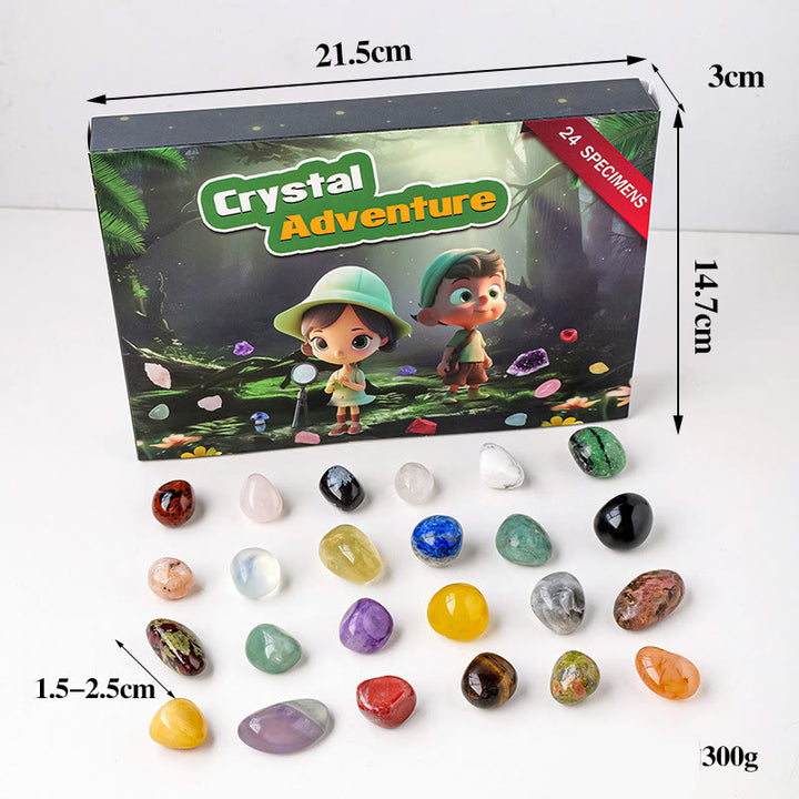 Olivenorma 24 pierres précieuses naturelles en cristal brut pour enfants Décoration scientifique 