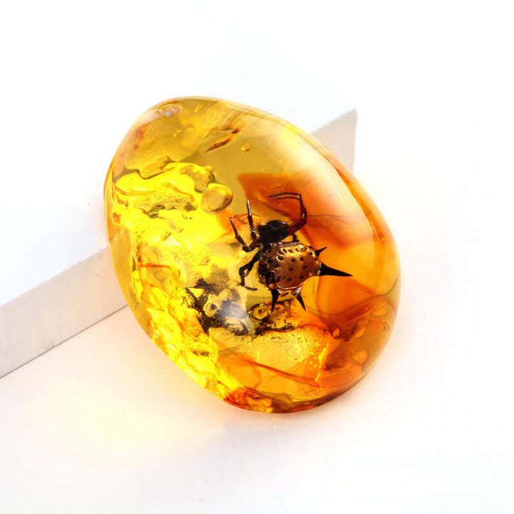 Pendentif spécimen d'insecte en forme de goutte d'eau en ambre Olivenorma 
