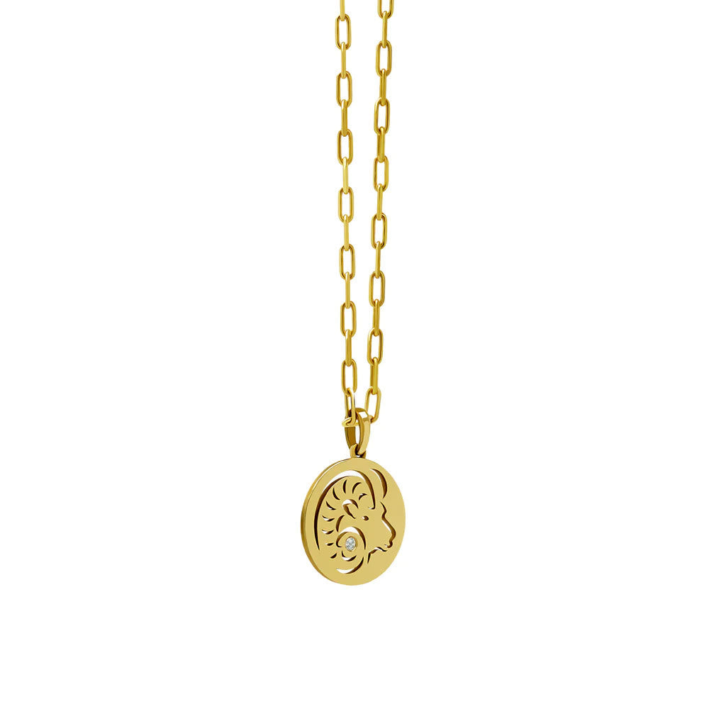 Collier en acier inoxydable avec cercle creux en zircon blanc et signe du zodiaque Olivenorma 