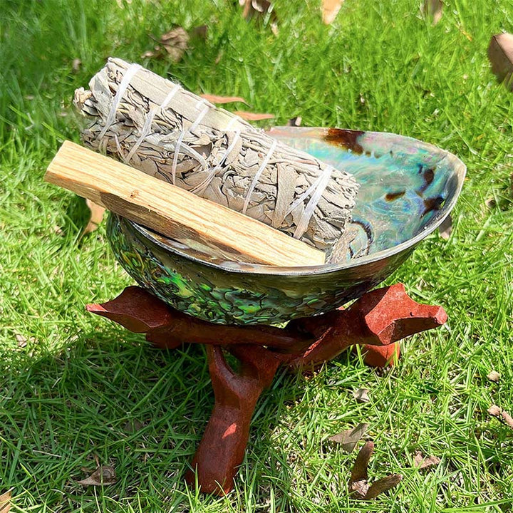 Méditation de purification des cristaux de nacre Olivenorma à la sauge blanche