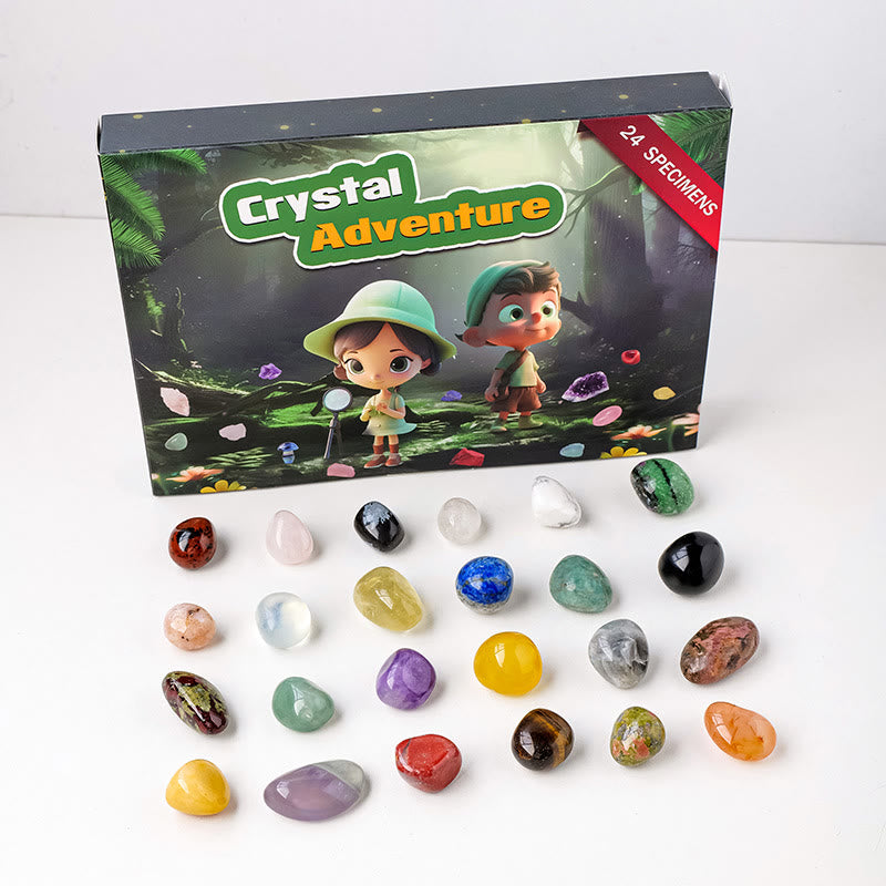 Olivenorma 24 pierres précieuses naturelles en cristal brut pour enfants Décoration scientifique 