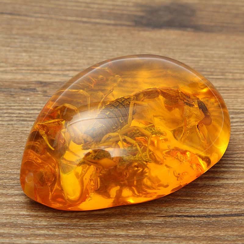 Pendentif en ambre de la Baltique avec inclusion de scorpions et de pierre d'insecte