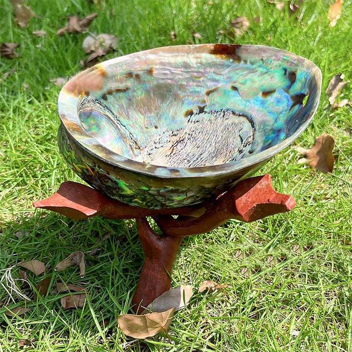 Méditation de purification des cristaux de nacre Olivenorma à la sauge blanche