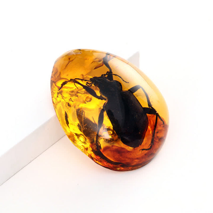 Pendentif spécimen d'insecte en forme de goutte d'eau en ambre Olivenorma 