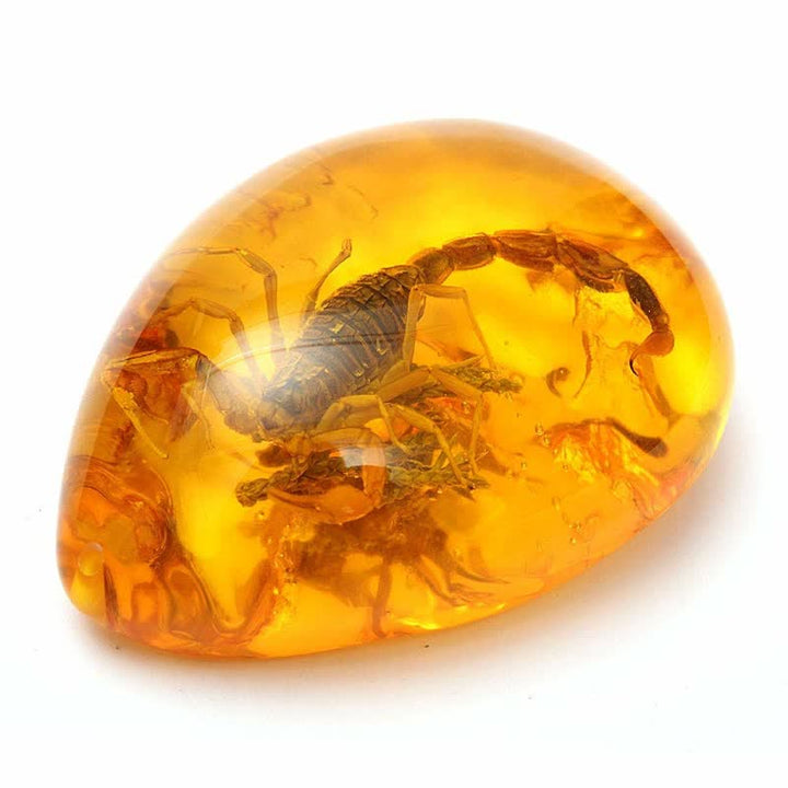 Pendentif en ambre de la Baltique avec inclusion de scorpions et de pierre d'insecte