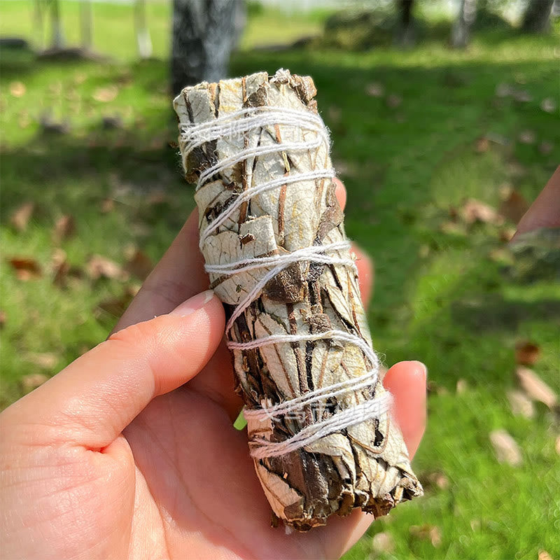 Méditation de purification des cristaux de nacre Olivenorma à la sauge blanche