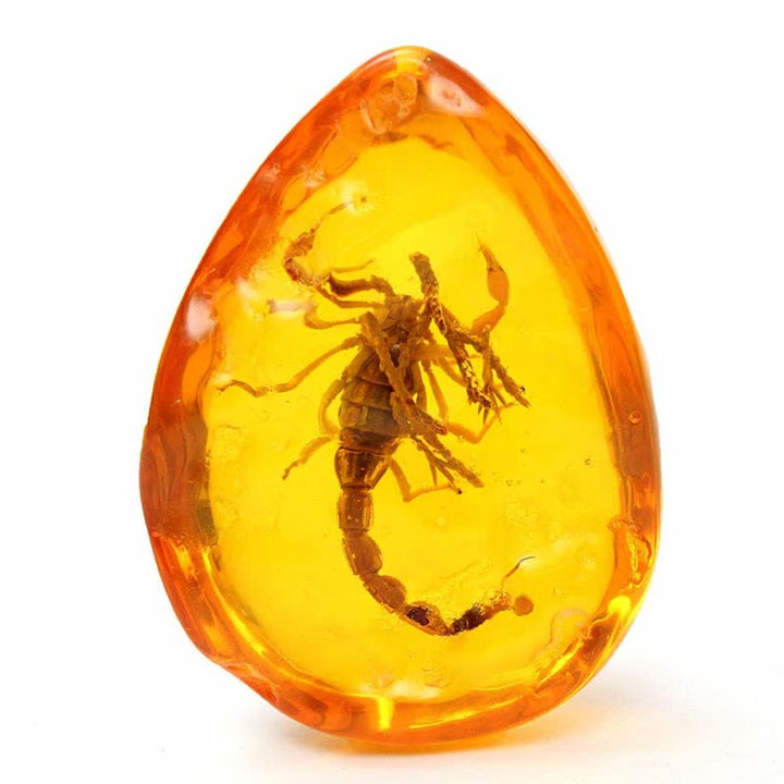 Pendentif en ambre de la Baltique avec inclusion de scorpions et de pierre d'insecte
