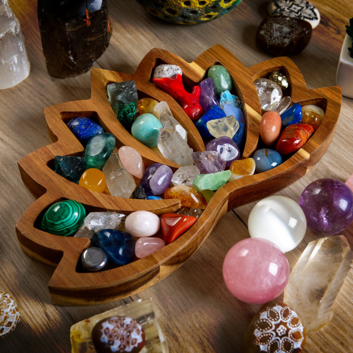 Plateau en bois de lotus Olivenorma, boîte de rangement, étagère en cristal
