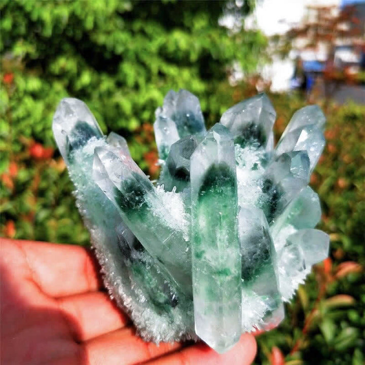 Olivenorma Magnifique décoration en quartz fantôme vert curatif