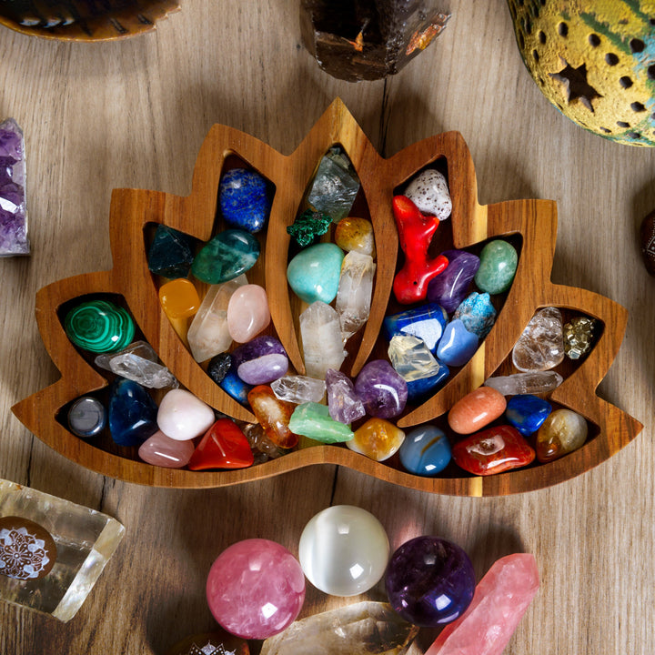 Plateau en bois de lotus Olivenorma, boîte de rangement, étagère en cristal