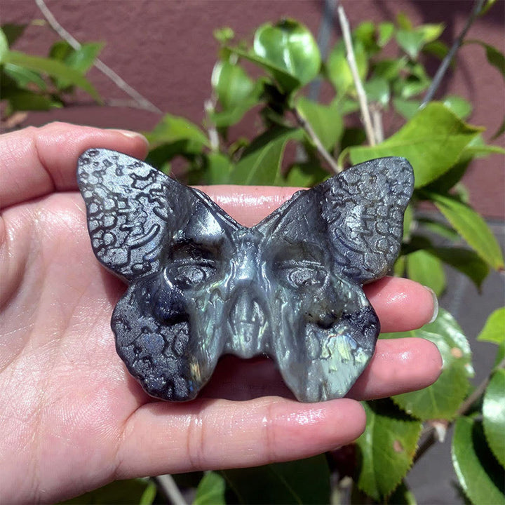 Décoration en pierre précieuse en forme de crâne de papillon en labradorite naturelle Olivenorma
