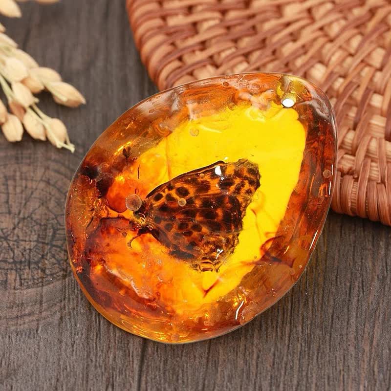 Pendentif spécimen d'insecte en forme de goutte d'eau en ambre Olivenorma 