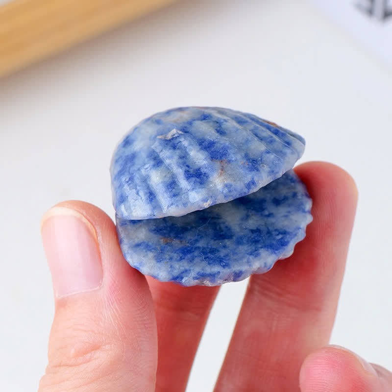 Décoration en pierre précieuse sculptée en coquillages d'agate en cristal naturel Olivenorma