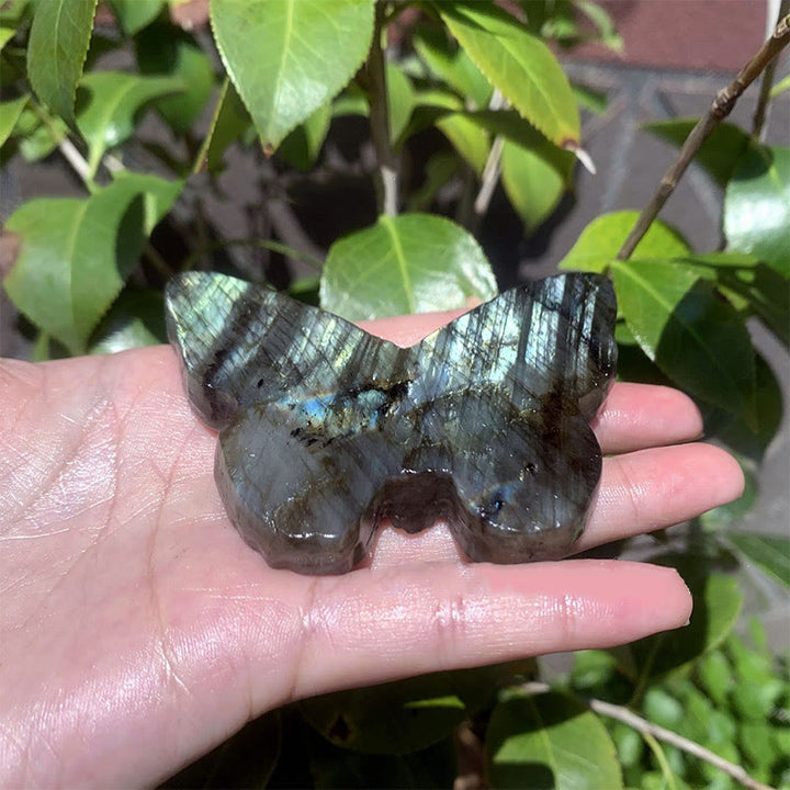 Décoration en pierre précieuse en forme de crâne de papillon en labradorite naturelle Olivenorma