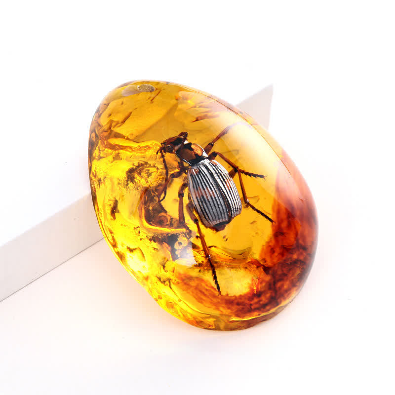 Pendentif spécimen d'insecte en forme de goutte d'eau en ambre Olivenorma 