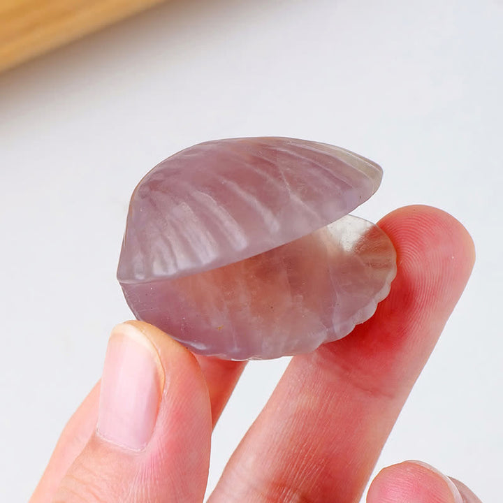 Décoration en pierre précieuse sculptée en coquillages d'agate en cristal naturel Olivenorma