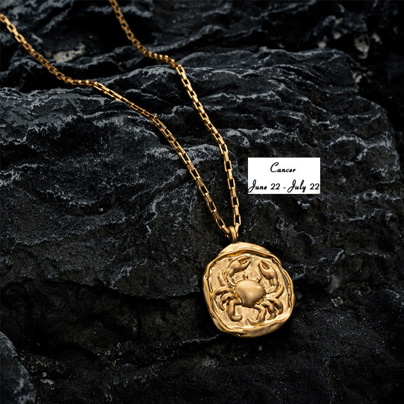 Collier en acier titane galvanisé ou 18 carats Olivenorma Zodiac