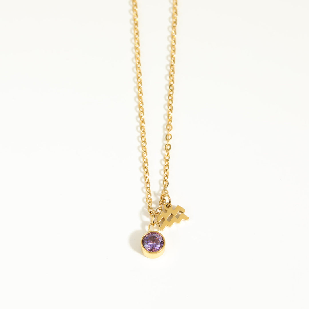 Collier en acier inoxydable avec pierre de naissance et runes du zodiaque Olivenorma - Verseau et Améthyste - image 4